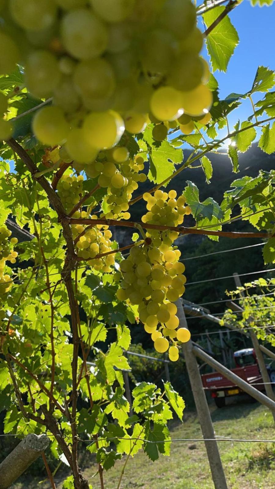 Vallarom 阿维奥 外观 照片